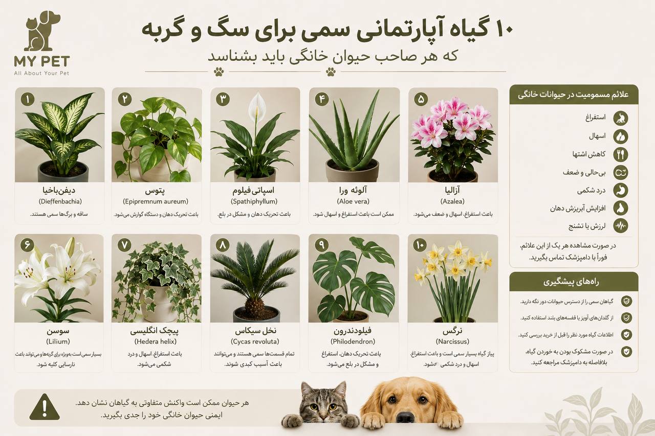 اینفوگرافیک آموزشی شامل ۱۰ گیاه آپارتمانی سمی برای سگ و گربه با تصویر و نام هر گیاه، در کنار علائم احتمالی مسمومیت و راهکارهای پیشگیری؛ طراحی مینیمال با رنگ‌های زیتونی و کرم و لوگوی MY PET در گوشه بالا سمت چپ